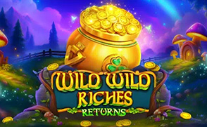 爱尔兰人宝藏归来