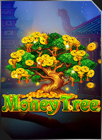 Cây tiền Money Tree
