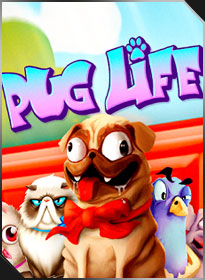 哈巴狗的日常 Pug Life