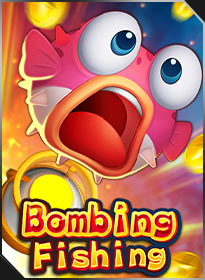 Bom Đánh Cá Bombing Fishing
